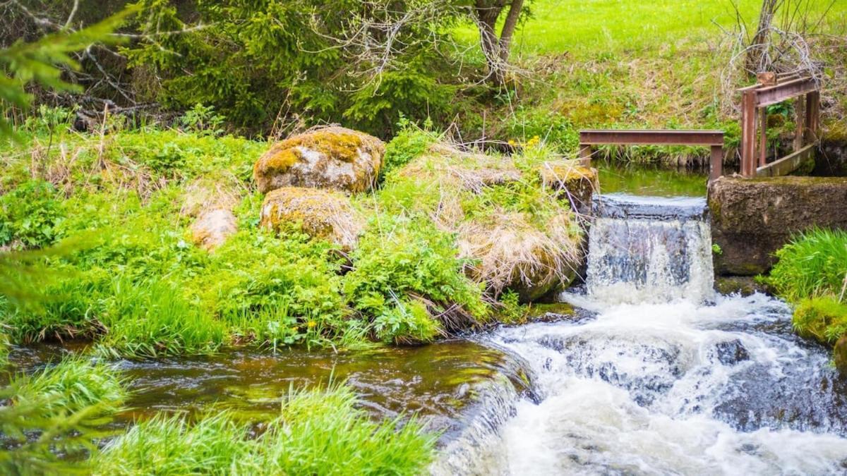 Schwarzwald Lodge Inselklause Schönwalde المظهر الخارجي الصورة